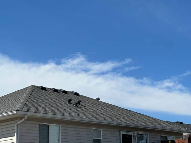 Best Emergency Roof Repair Services  in Minerva, OH